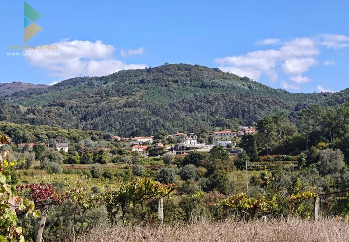 Bungalow i Ponte de Lima, Viana do Castelo, Ponte de Lima - € 295.000 | Ref: PTL-001-132 - foto 1