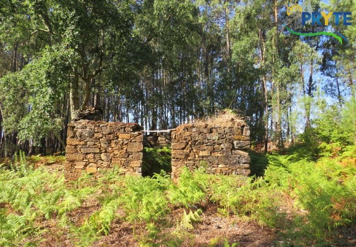 Ruinere i Serta, Castelo Branco, Serta - € 35.000 | Ref: SO10 - foto 1