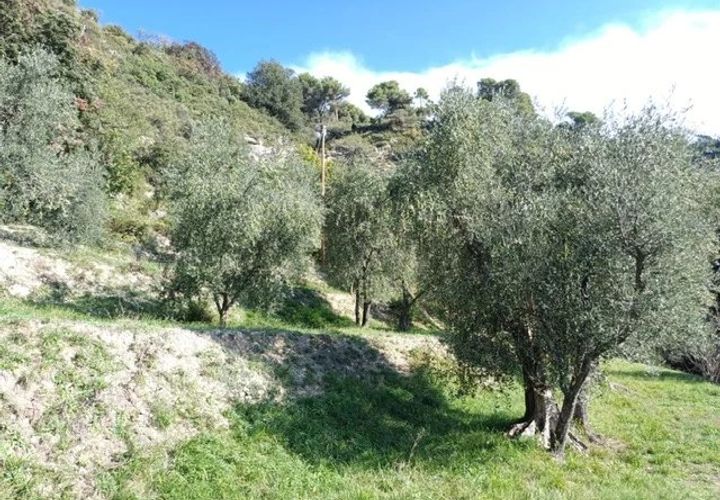 Villa a L'Escarène, Alpes-Maritimes, L'Escarène - € 345.000 | Ref: 86377512 - foto 1
