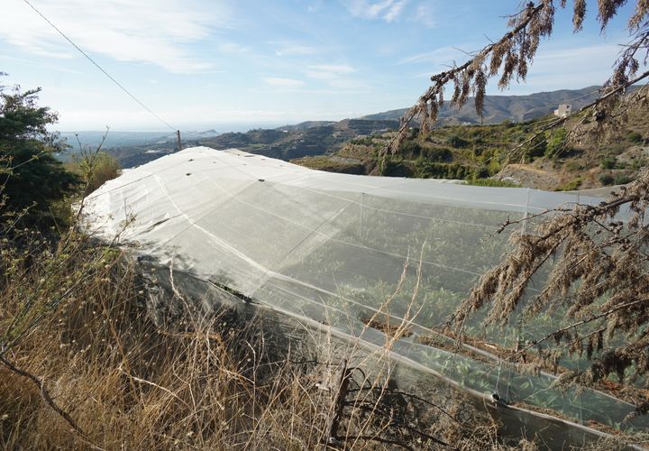 Helårsgrund i Molvizar, Granada, Molvizar - € 50.000 | Ref: MLVC565 - foto 1