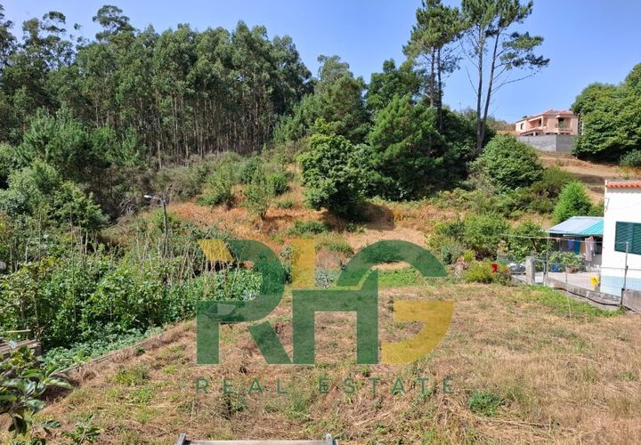 Terra a Camacha, Madeira, Camacha - € 26.000 | Ref: RHG25050 - foto 1