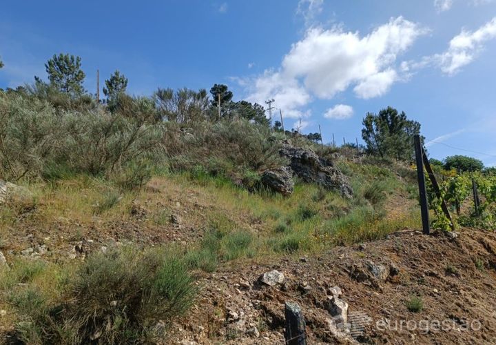 Helårsgrund i Parada do Bispo e Valdigem, Viseu, Parada do Bispo e Valdigem - € 70.000 | Ref: LMG_3819 - N - foto 1