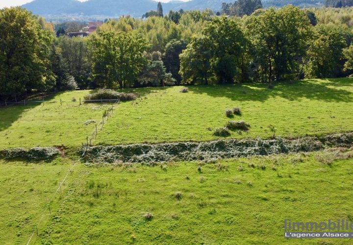 Terra a Taintrux, Vosges, Taintrux - € 18.500 | Ref: 999646-LIMMOBILIERE - foto 1