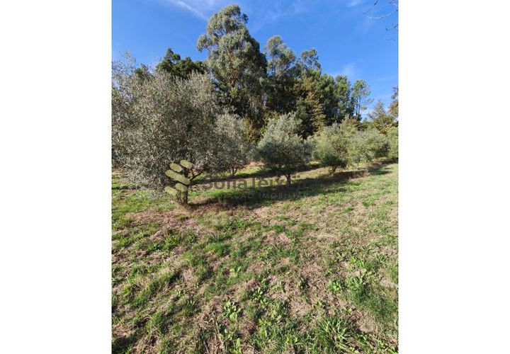 Helårsgrund i Regadas, Braga, Regadas - € 48.500 | Ref: TER_426 - foto 1