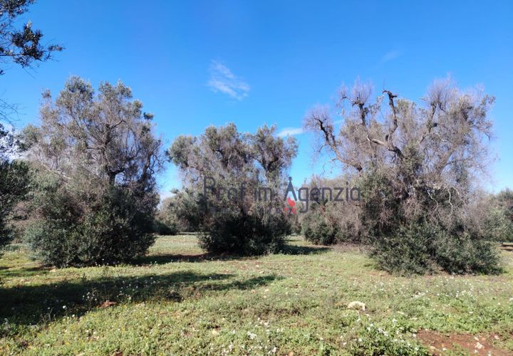 Helårsgrund i Carovigno, Brindisi, Carovigno - € 55.000 | Ref: 122735 - foto 1