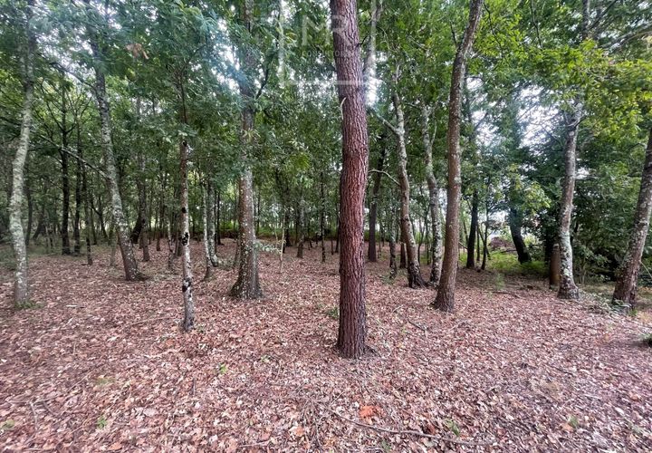 Helårsgrund i Anadia, Aveiro, Anadia - € 22.000 | Ref: 85/2025 LI - foto 1