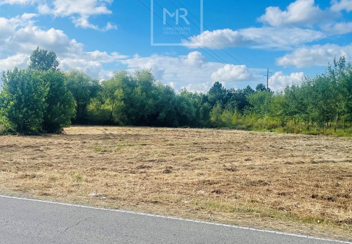 Helårsgrund i Anadia, Aveiro, Anadia - € 38.500 | Ref: 64/2024 LI - foto 1
