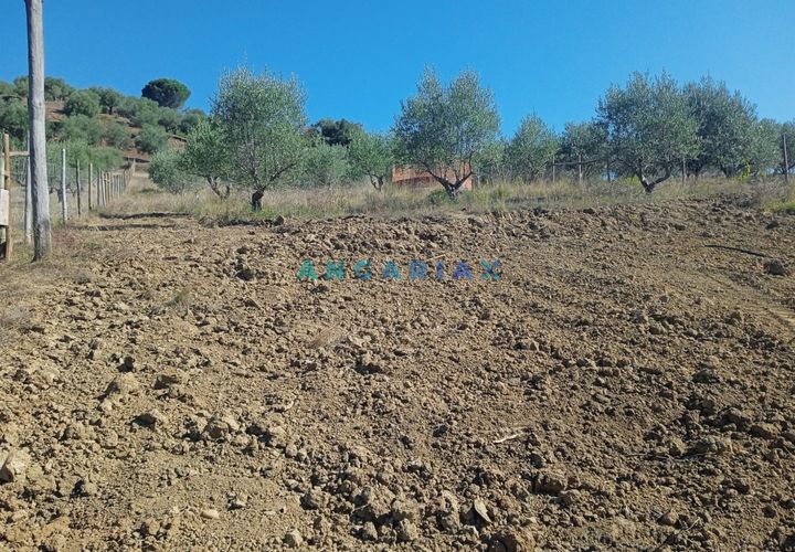 Terra a Batalha, Leiria, Batalha - € 65.000 | Ref: ANG1486 - foto 1