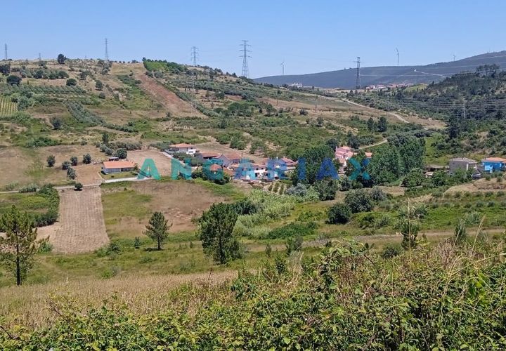 Tomt i Batalha, Leiria, Batalha - € 95 000 | Ref: ANG1487 - foto 1