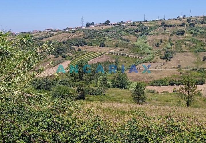 Terra a Batalha, Leiria, Batalha - € 95.000 | Ref: ANG1487 - foto 1
