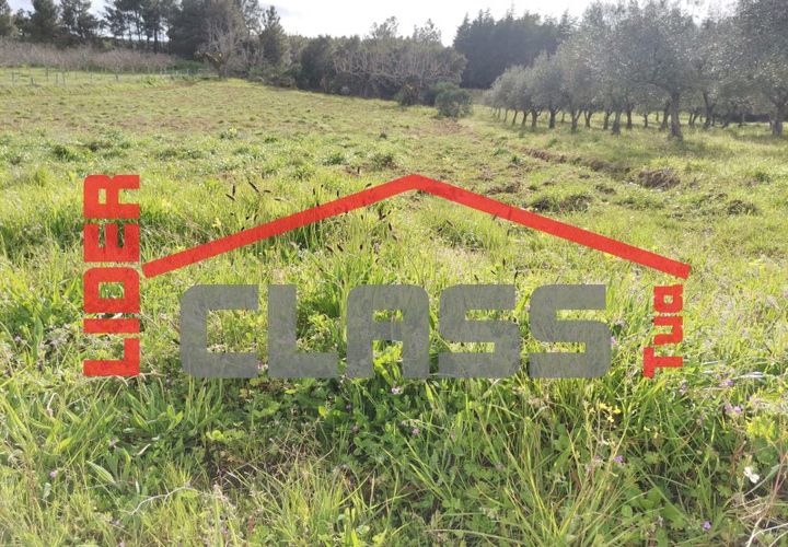 Terra a Vila Flor, Braganca, Vila Flor - € 12.500 | Ref: SÒL_1228 - foto 1