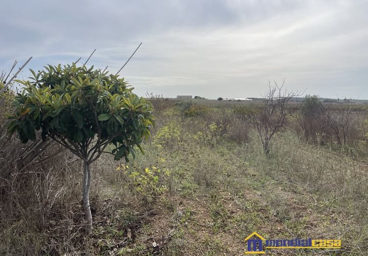 Helårsgrund i Noto, Siracusa, Noto - € 15.000 | Ref: PFA-1699 - foto 1