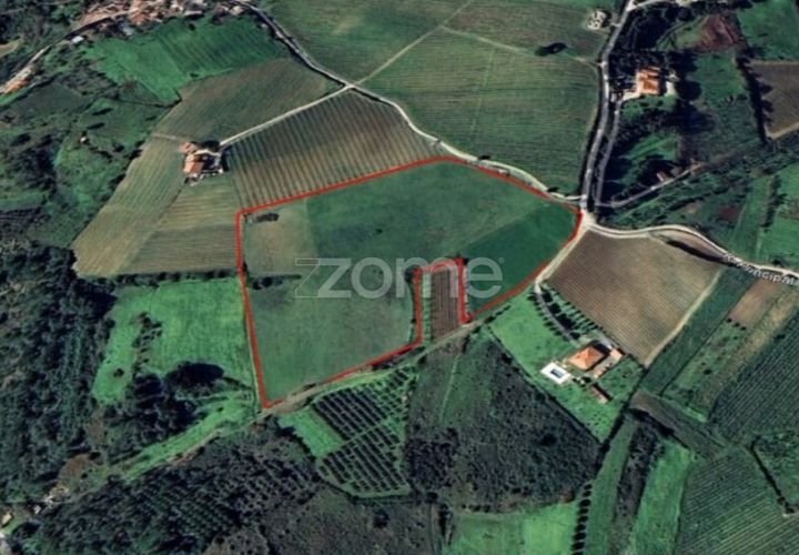 Tomt i Alenquer, Lisbon, Alenquer - € 99 840 | Ref: ZMPT581927 - foto 1