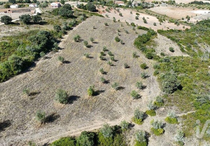Terra a Santarem, Santarem, Santarem - € 24.000 | Ref: 146994 - foto 1
