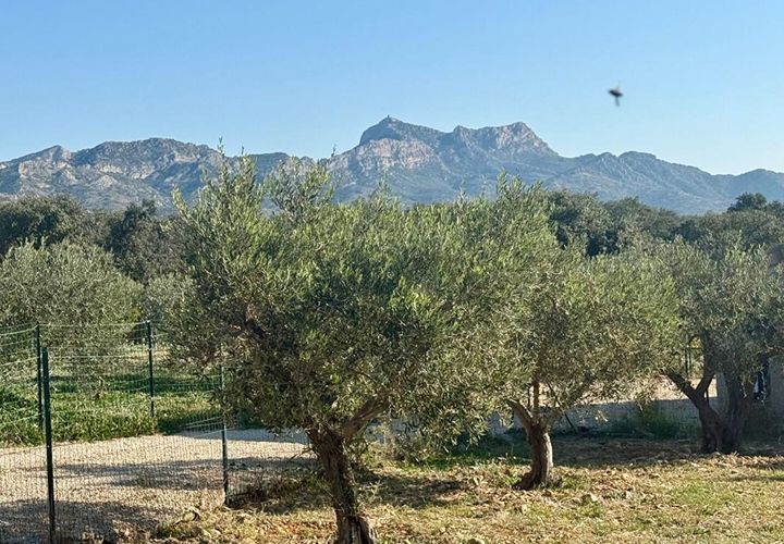 Terra a Aureille, Bouches-du-Rhone, Aureille - € 220.000 | Ref: 425842CAMS - foto 1