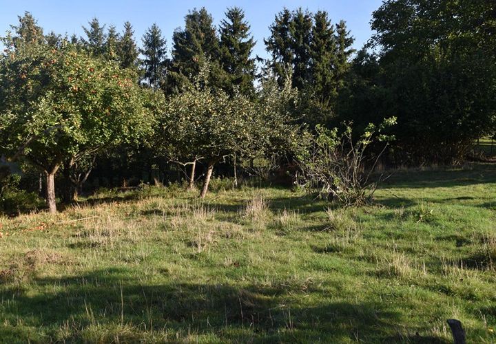 Helårsgrund i Cheppy, Meuse, Cheppy - € 31.790 | Ref: 426219MTR - foto 1