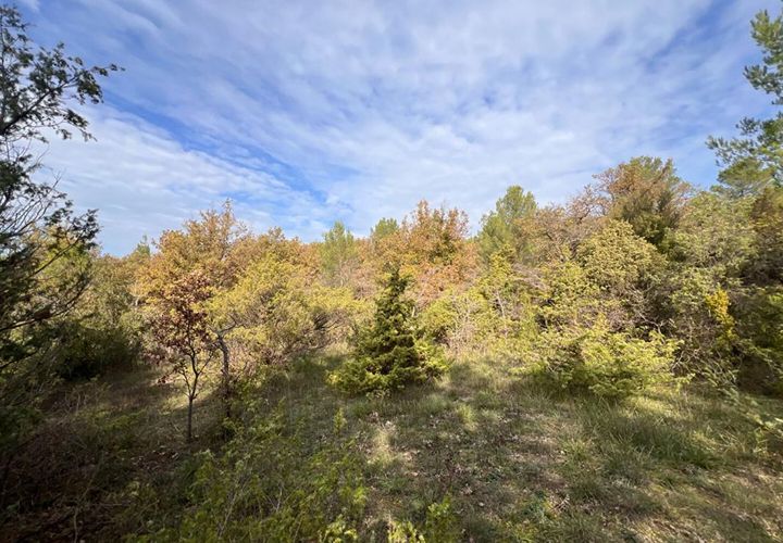 Terra a Rians, Var, Rians - € 15.000 | Ref: 416529BVAZ3BVAZ - foto 1