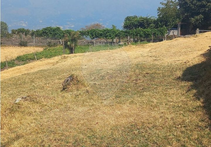 Terra a Chamoim e Vilar, Braga, Chamoim e Vilar - € 40.000 | Ref: 126971023-16 - foto 1