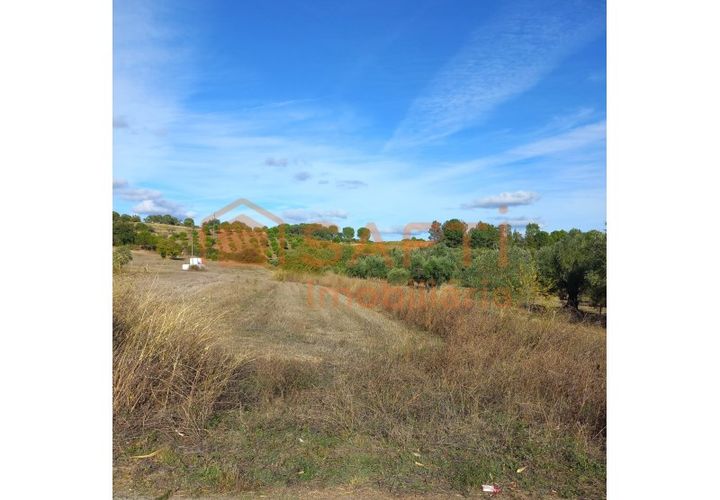 Helårsgrund i Tomar, Santarem, Tomar - € 28.000 | Ref: SAFTI:007334 - foto 1