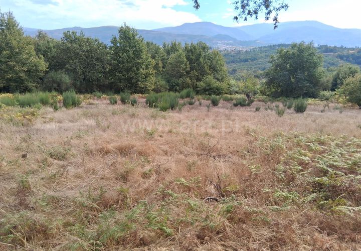 Helårsgrund i Seia, Guarda, Seia - € 20.000 | Ref: 382250114 - foto 1