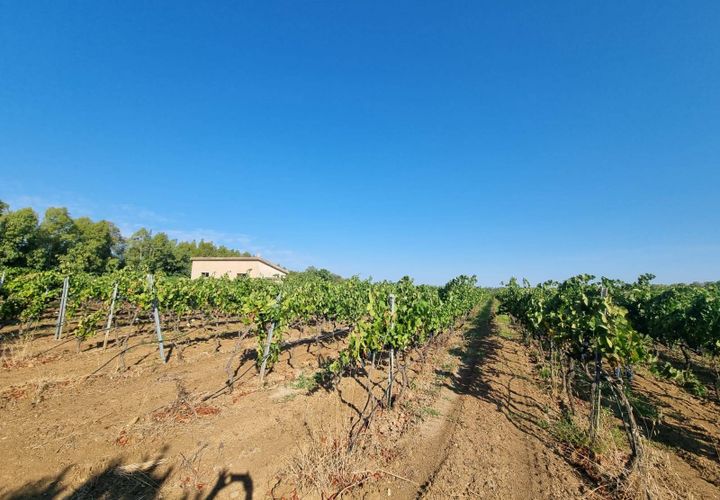 Tomt i Masainas, Sud Sardegna, Masainas - € 149 000 | Ref: GT76 - foto 1