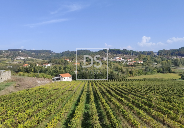 Helårsgrund i Amarante, Porto, Amarante - € 43.000 | Ref: DSPMCANAVSN24 - foto 1
