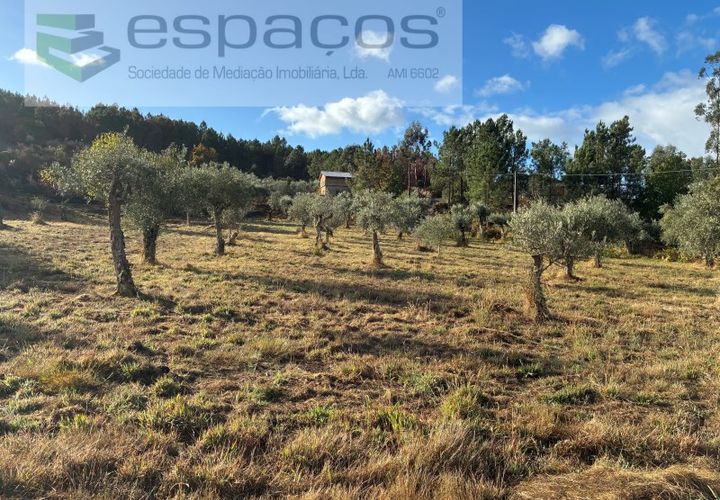 Farm i Paul, Castelo Branco, Paul - € 80.000 | Ref: 5881/CP - foto 1
