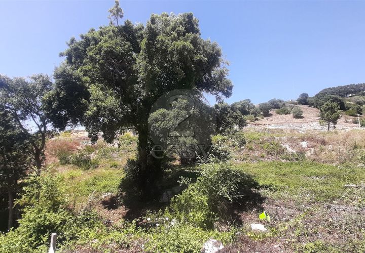 Helårsgrund i Mafra, Lisbon, Mafra - € 120.000 | Ref: 421521127 - foto 1