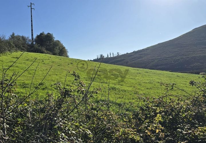 Helårsgrund i Mafra, Lisbon, Mafra - € 1.715.000 | Ref: 421701002 - foto 1