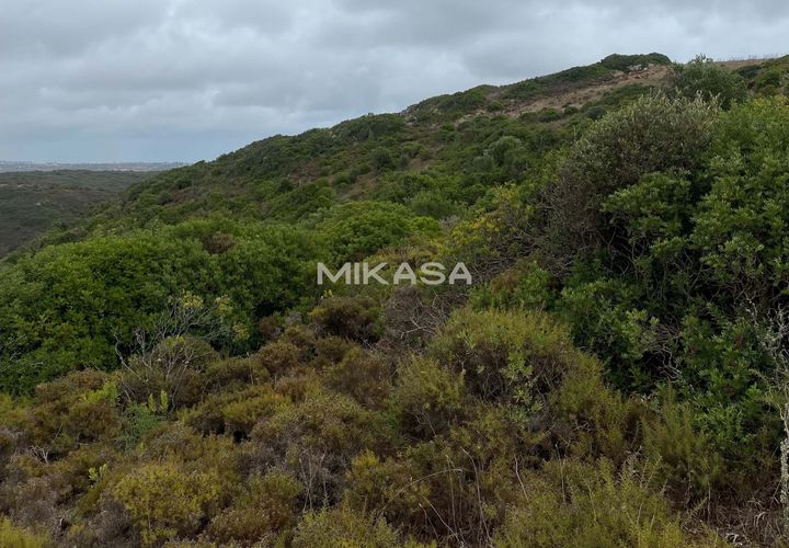 Helårsgrund i Budens, Faro, Budens - € 37.000 | Ref: T115 - foto 1