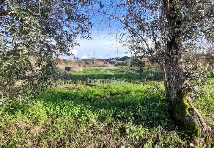 Tomt i Soure, Coimbra, Soure - € 30 000 | Ref: 1650/AV - foto 1