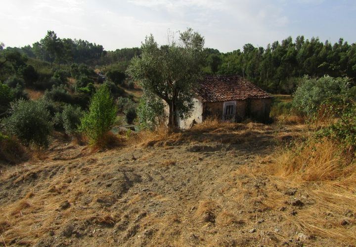Landejendom i Mouriscas, Santarem, Mouriscas - € 66.000 | Ref: P25-233 - foto 1