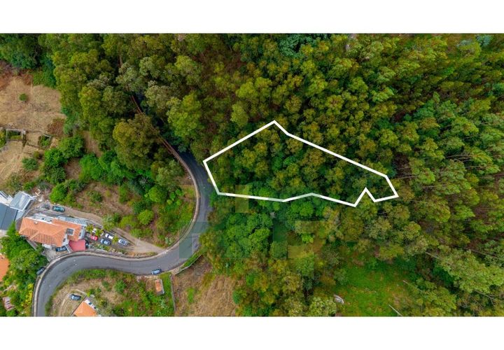 Helårsgrund i Camacha, Madeira, Camacha - € 29.000 | Ref: RHG25043 - foto 1
