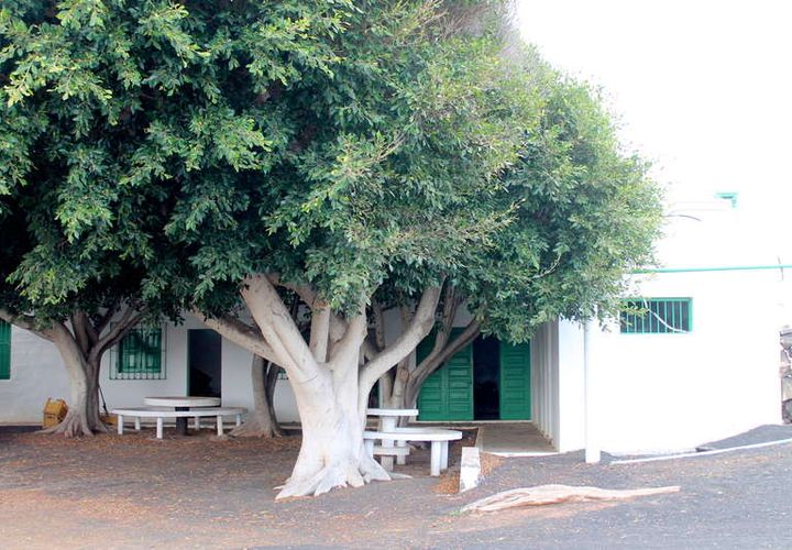 Byhus i La Yedra, Gran Canaria, La Yedra - € 600.000 | Ref: PP-587541 - foto 1