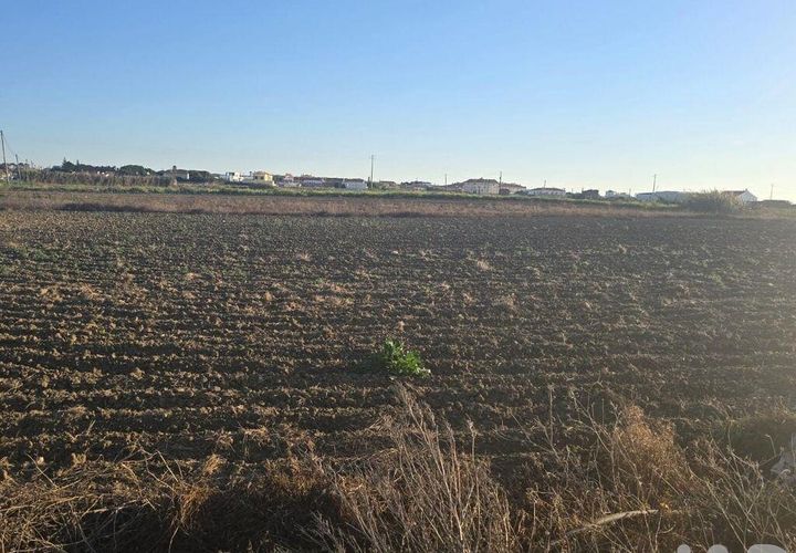 Terra a Peniche, Leiria, Peniche - € 30.000 | Ref: 736421 - foto 1