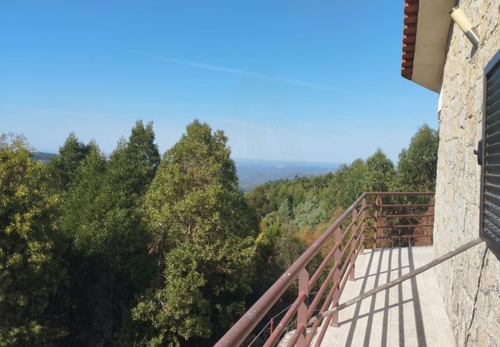 Farm i Talhadas, Aveiro, Talhadas - € 600.000 | Ref: 539 - foto 1