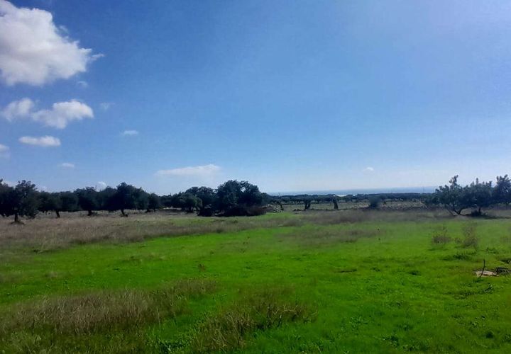 Landejendom i Scicli, Ragusa, Scicli - € 185.000 | Ref: RP-697691-697691 - foto 1