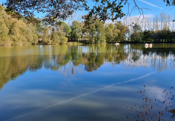 Villa a Meneac, Morbihan, Meneac - € 336.000 | Ref: YL-4937 - foto 1