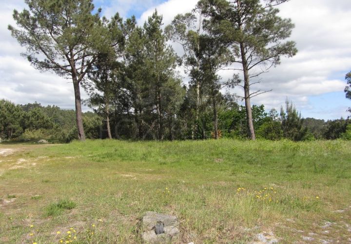 Tomt i Candemil e Gondar, Viana do Castelo, Candemil e Gondar - € 17 500 | Ref: UNU-F3-F3-1 - foto 1