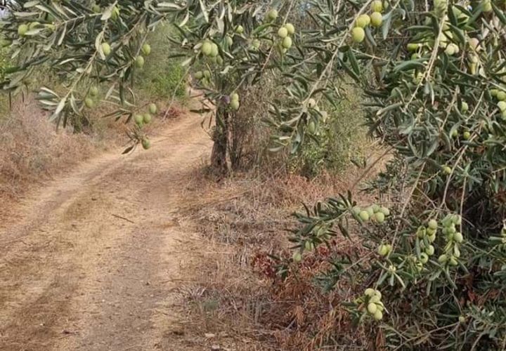 Lejlighed i Silves, Faro, Silves - € 35.000 | Ref: 337 - foto 1