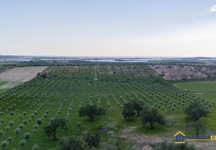 Helårsgrund i Noto, Siracusa, Noto - € 280.000 | Ref: AGLIASTRO 1 - foto 1