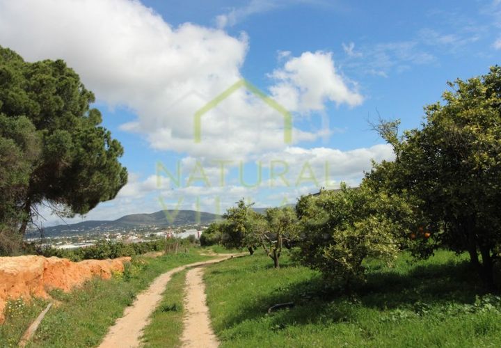 Farm i Faro, Faro, Faro - € 2.500.000 | Ref: TER_2248A_VEND - foto 1