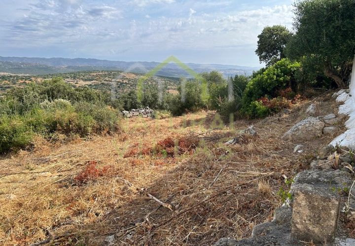 Helårsgrund i Moncarapacho, Faro, Moncarapacho - € 96.500 | Ref: TER_2245_VEND - foto 1
