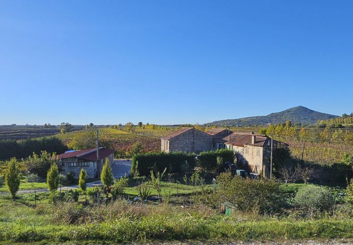 Terra a Cinto Euganeo, Padua, Cinto Euganeo - € 105.000 | Ref: TER 286 - foto 1
