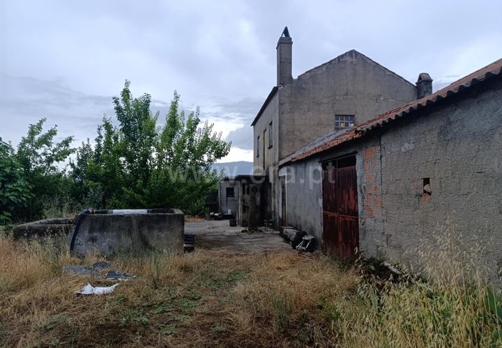 Farm i Fundao, Castelo Branco, Fundao - € 152.500 | Ref: 255250193 - foto 1