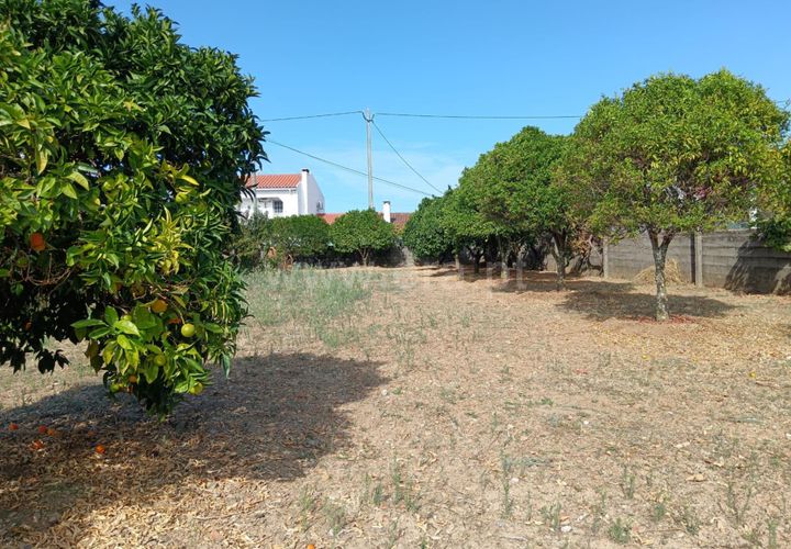 Helårsgrund i Castelo Branco, Castelo Branco, Castelo Branco - € 47.500 | Ref: 102250208 - foto 1