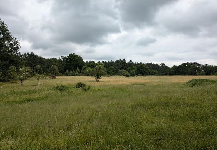 Helårsgrund i Cercoux, Charente-Maritime, Cercoux - € 100.000 | Ref: 426291WIC - foto 1
