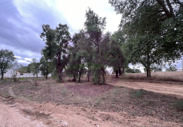 Helårsgrund i Tomar, Santarem, Tomar - € 45.000 | Ref: T 317 - foto 1