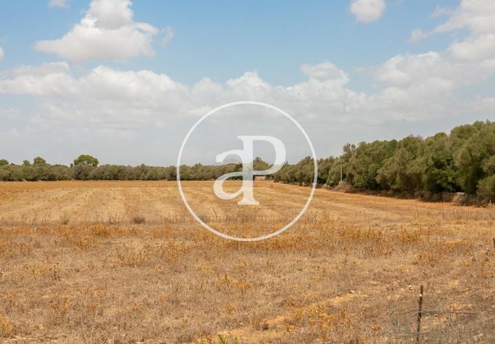 Terra a Campos, Mallorca, Campos - € 725.000 | Ref: VPM2208037 - foto 1