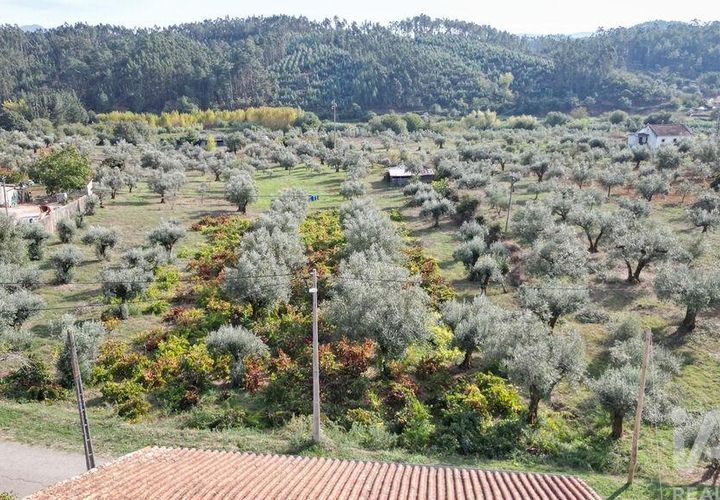 Helårsgrund i Penela, Coimbra, Penela - € 33.000 | Ref: 742065 - foto 1